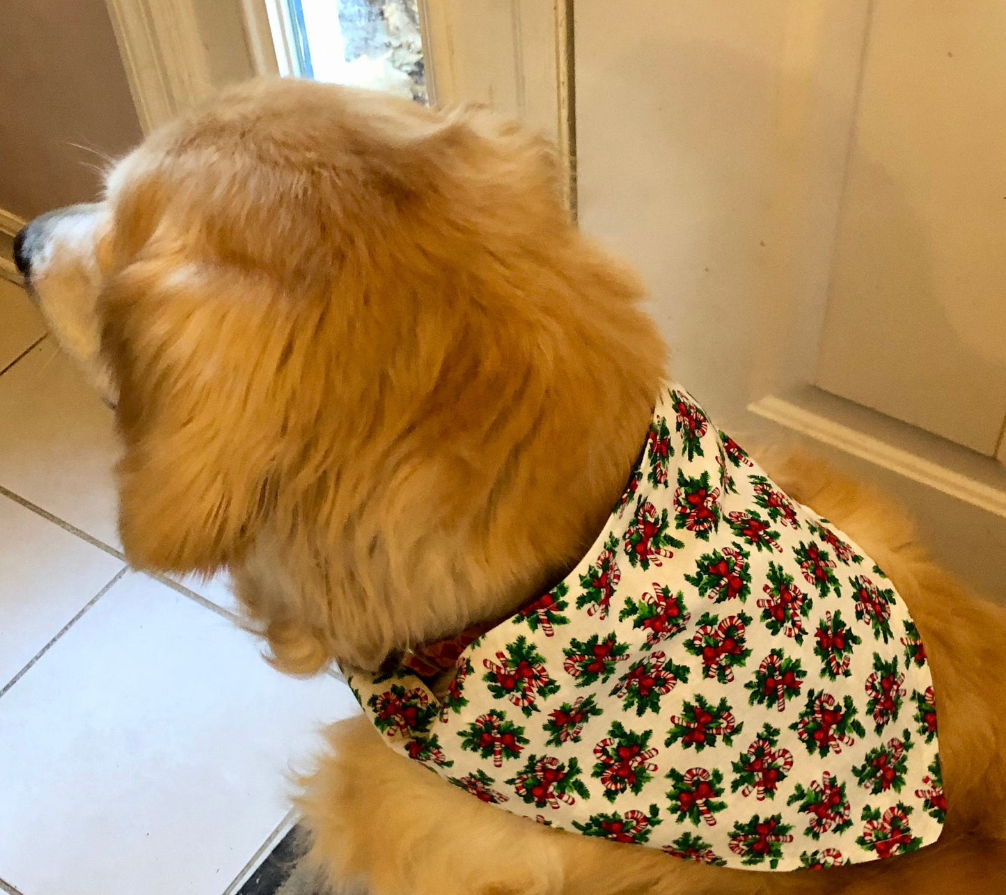 Chanukah and Christmas Dog Bandana Reversible hook and loop closure