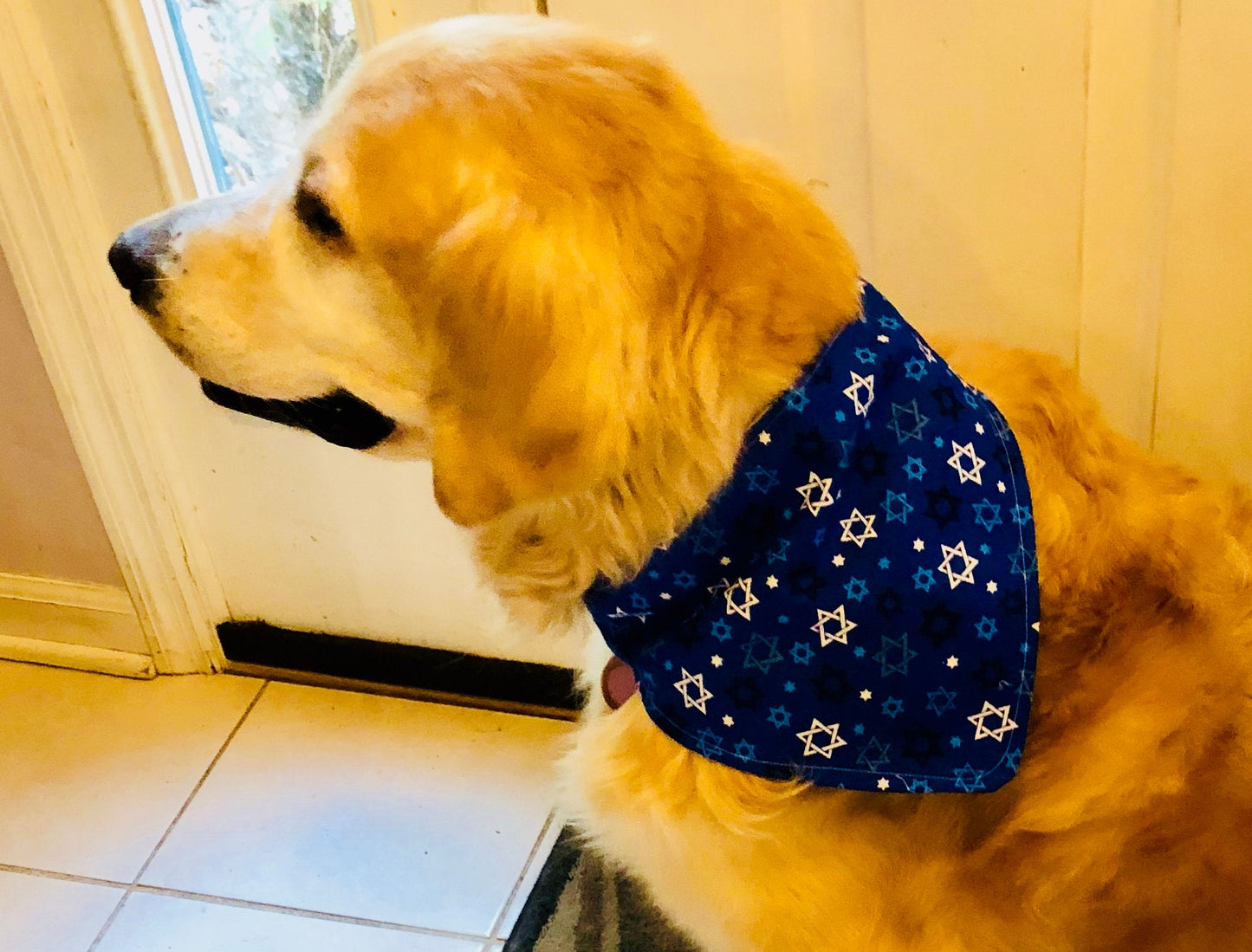 Chanukah and Christmas Dog Bandana Reversible hook and loop closure