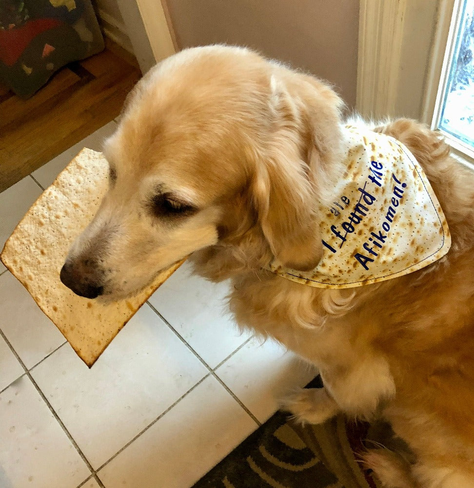 I found/ate the Afikomen!  Passover Dog Bandana Over the collar design