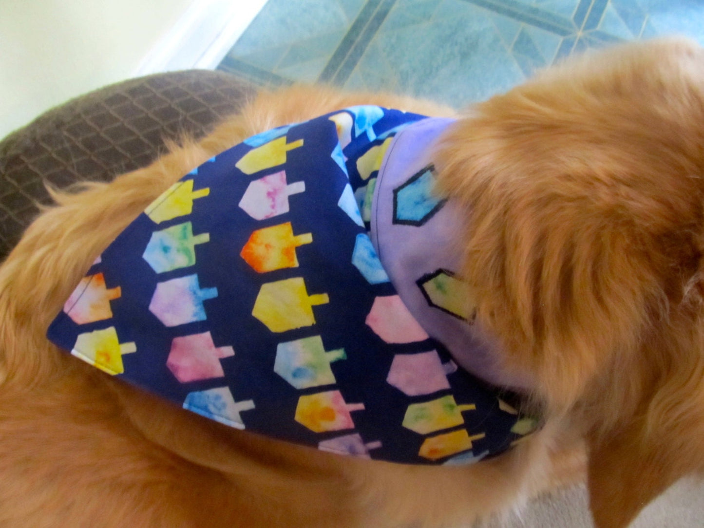 Chanukah Dreidel  Dog Bandana