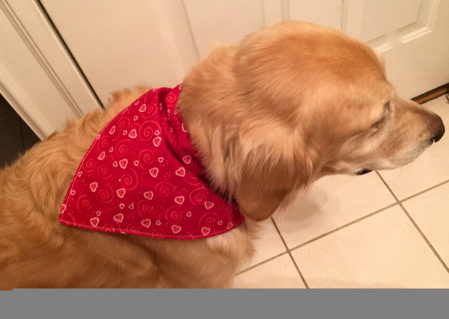 St. Patrick's Day Valentines Day Reversible Dog Bandana